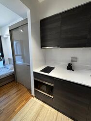 Sims Urban Oasis (D14), Condominium #548899261